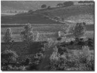 Valmediano