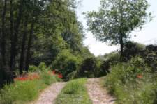 Carril de los Galayos