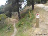 Ruta BTT El Arenal