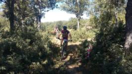 BTT ALMANZA