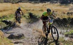 BTT ALMANZA