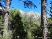 Ruta BTT El Hornillo
