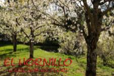 Ruta BTT El Hornillo