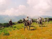 EQUITRAVEL