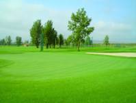 Grijota Golf