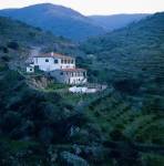 Quinta de la Concepción
