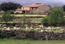 EL CORAZON VERDE. LA CASA, Badilla, (Zamora), vista interior