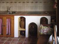 NI CUATRO GATOS, Requena de Campos, (Palencia), vista interior