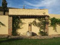 NI CUATRO GATOS, Requena de Campos, (Palencia), vista interior