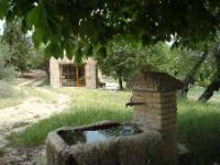 FINCA EL CERCADO. CASA INVITADOS, Baltanás, (Palencia), vista exterior