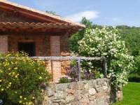 EL HIGUERAL DE LAS SAYUELAS - CUELLO DAMA, El Raso, (Ávila), vista exterior