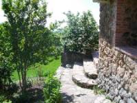 EL HIGUERAL DE LAS SAYUELAS - CUELLO DAMA, El Raso, (Ávila), vista exterior