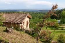 HIGUERAL DE LA SAYUELA "RONDERO", El Raso, (Ávila), vista exterior