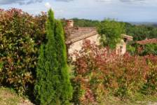 HIGUERAL DE LA SAYUELA "RONDERO", El Raso, (Ávila), vista exterior