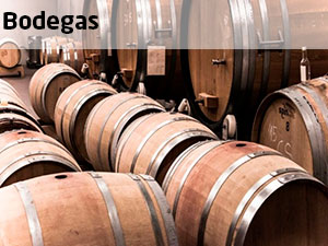 Bodegas