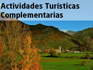 ACTIVIDADES_COMPLEMENTARIAS