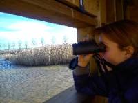 ABUBILLA ECOTURISMO, Guma, (Burgos), Observación aves acuáticas