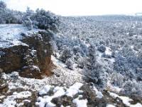 ABUBILLA ECOTURISMO, Guma, (Burgos), Paisajes Ribera del Duero