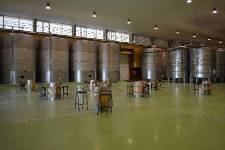 BODEGAS GORDONZELLO, Gordoncillo, (León), vista interior