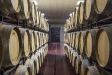 BODEGAS GORDONZELLO, Gordoncillo, (León), vista interior