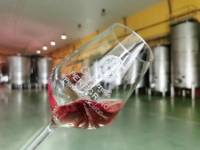 BODEGAS GORDONZELLO, Gordoncillo, (León), vista interior