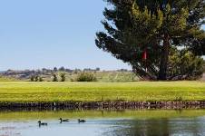 CLUB DE CAMPO LA GALERA, Valladolid