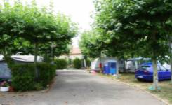 EL ANTOJANO, Camping segunda, Benavides de Órbigo, (León)