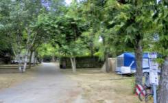 CINCO CASTAÑOS, Camping segunda, Candelario, (Salamanca)