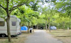 CINCO CASTAÑOS, Camping segunda, Candelario, (Salamanca)