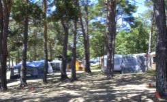 EL CONCURSO, Camping primera, Abejar, (Soria)