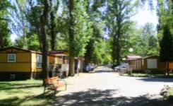 FUENTES BLANCAS, Camping primera, Burgos, (Burgos)
