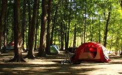 LA HOJITA, Camping segunda, Lumbrales, (Salamanca)