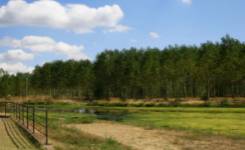 ORBIGO, Camping segunda, Carrizo de la Ribera, (León)