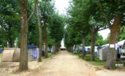 PALAZUELO, Camping segunda, Villamañán, (León)