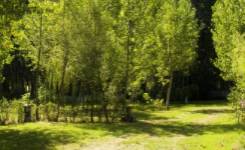 RIVERA DEL CÚA, Camping segunda, Vega de Espinareda, (León)