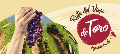 Logo Ruta del Vino de Toro