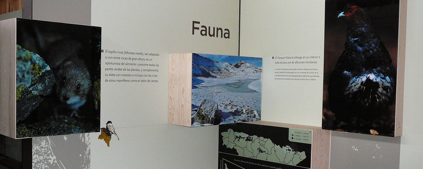 Casa del Parque 'El Torreón de Sobradillo'