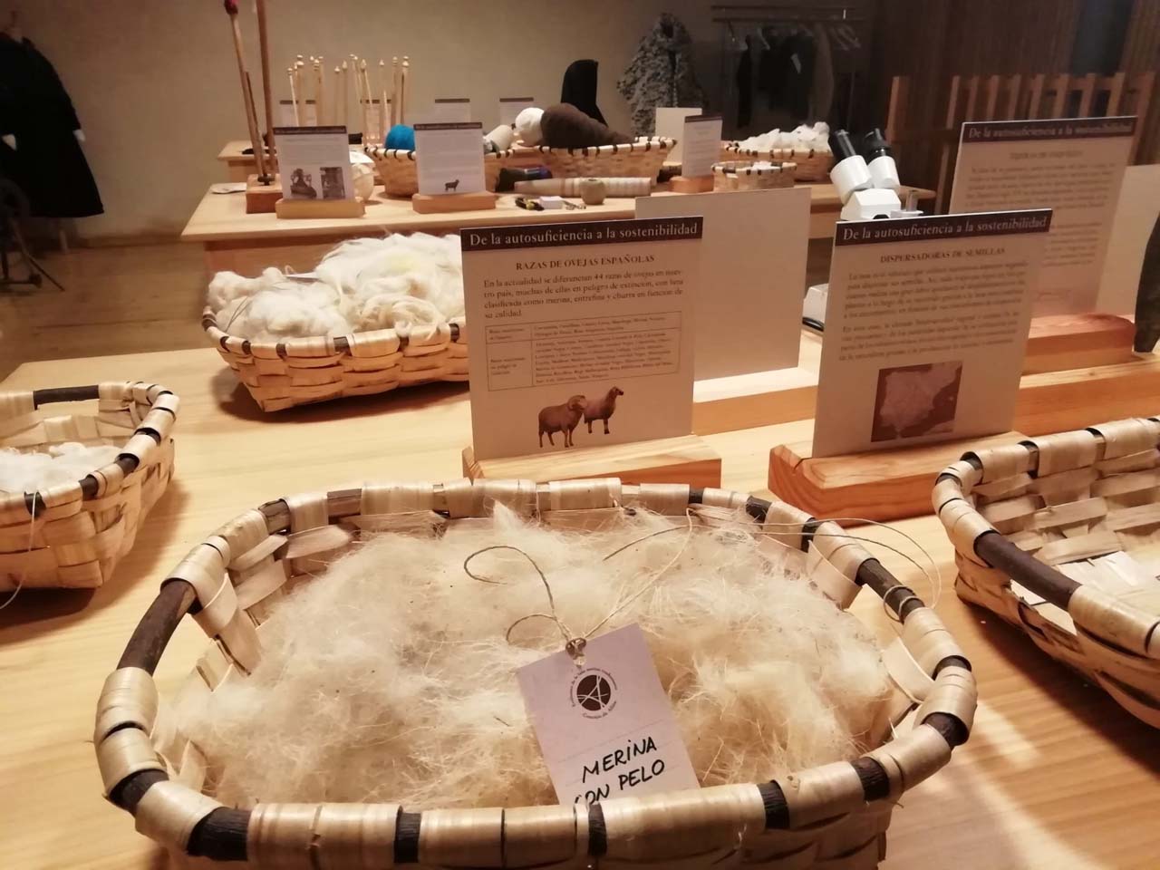 Ecomuseo de la lana merina trashumante. 