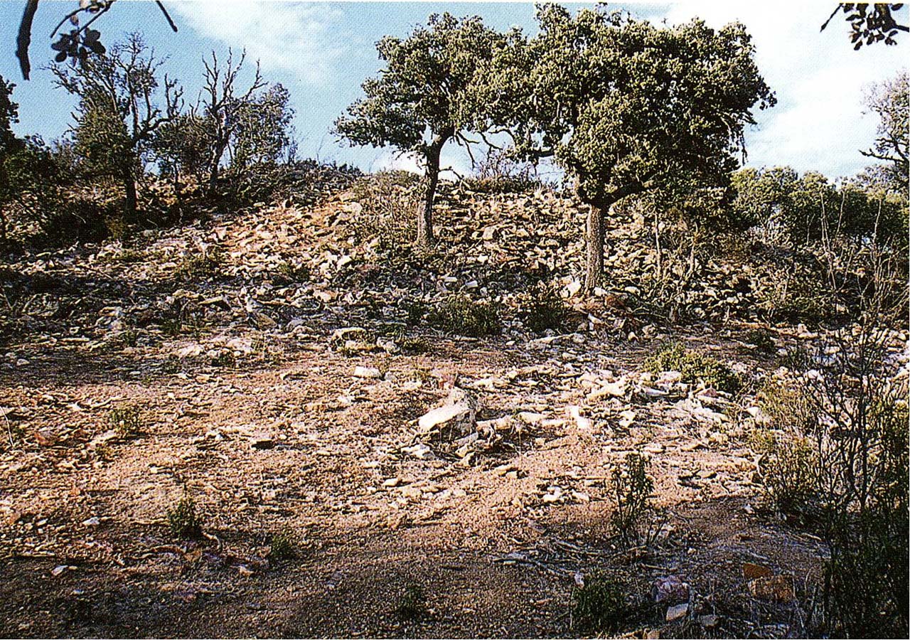 Santa Eulalia Castillón Muralla