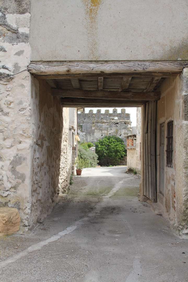 Palacio medieval Laguna de Contreras