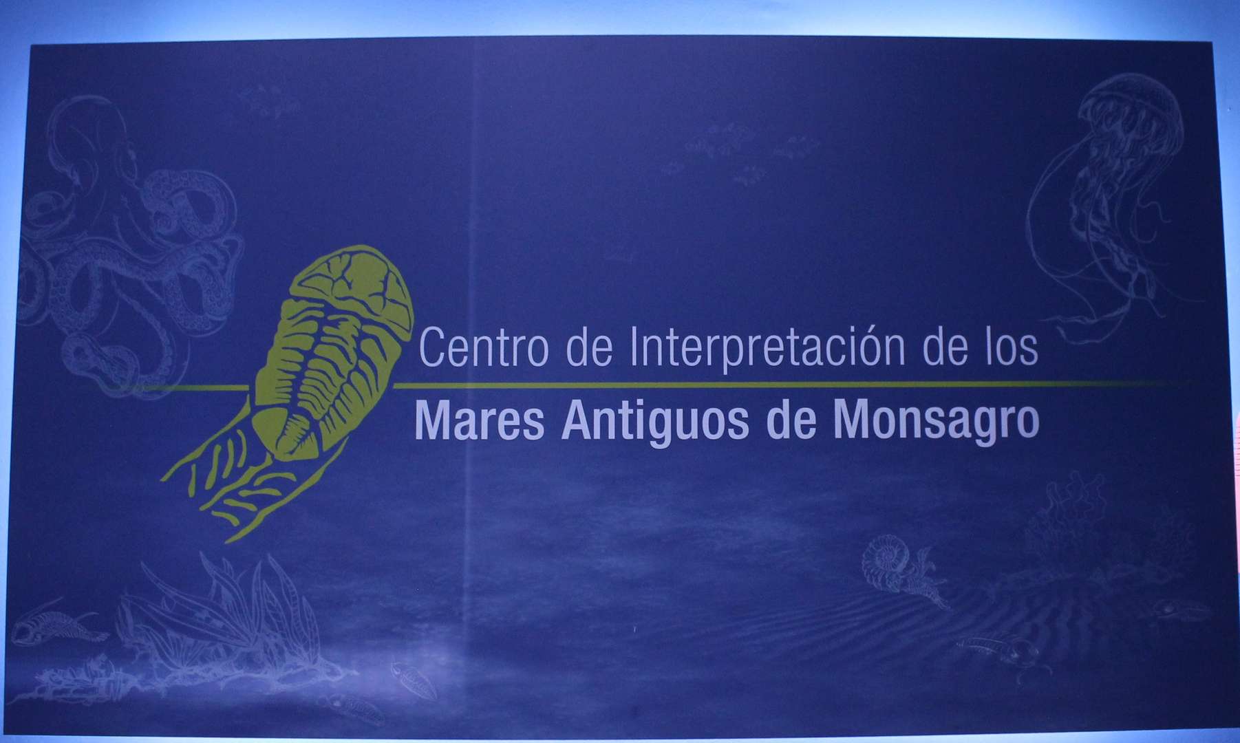 Museo de los Mares Antiguos - Cartel