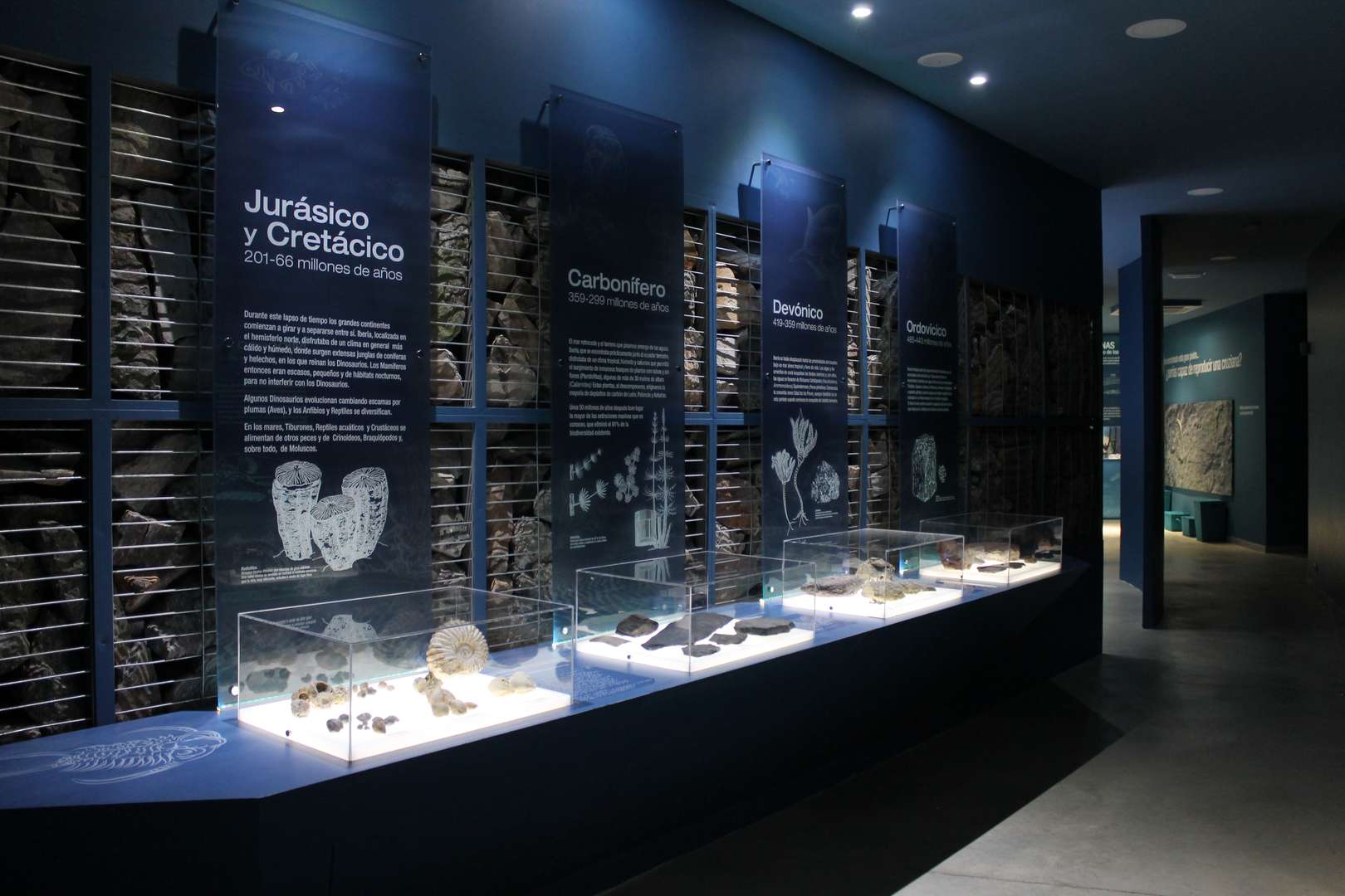 Museo de los Mares Antiguos - Sala fósiles - 01