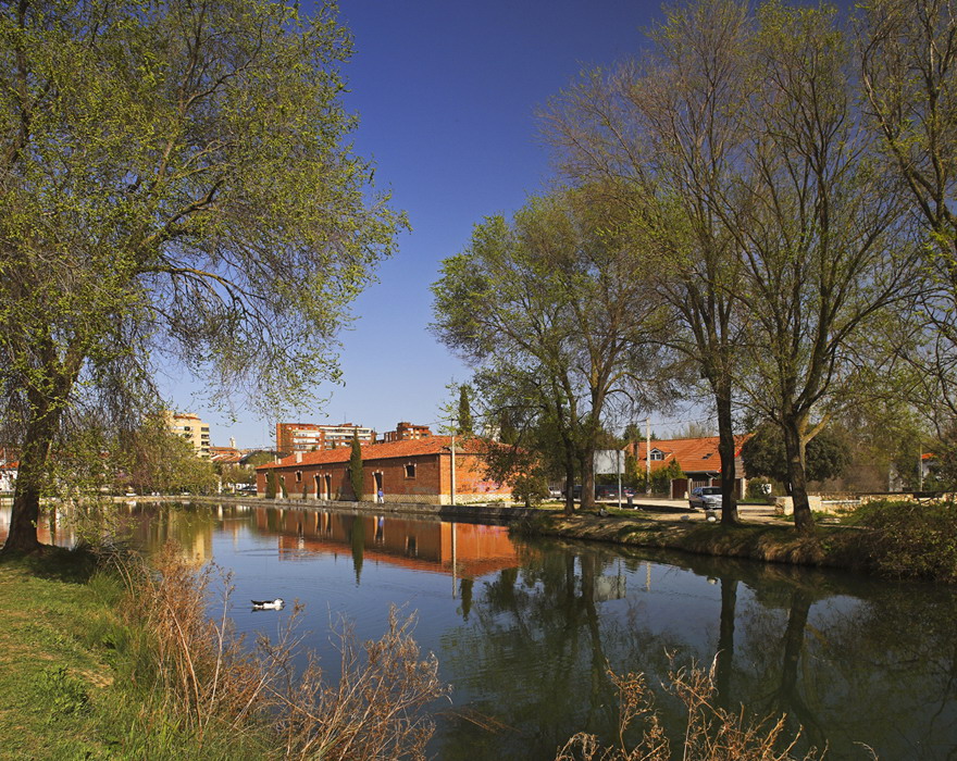 Ramalillo del Canal de Castilla en Palencia
