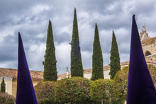 Cofradía de Jesús Nazareno-Palencia - Mimetizados