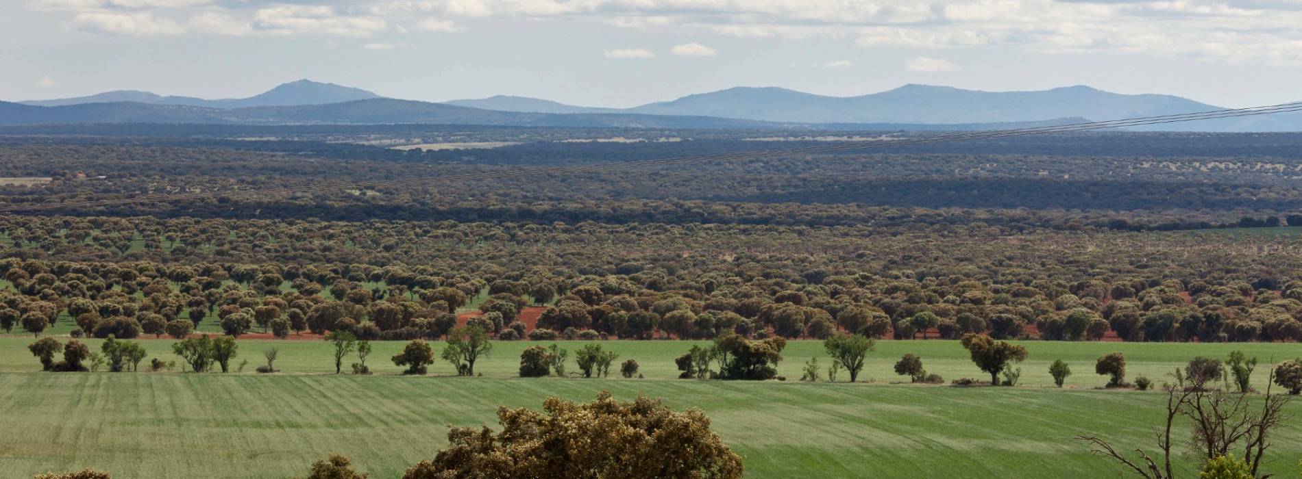 hq Dehesa de Salamanca